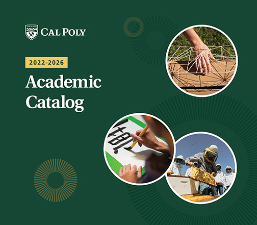 cal poly essay prompts 2022